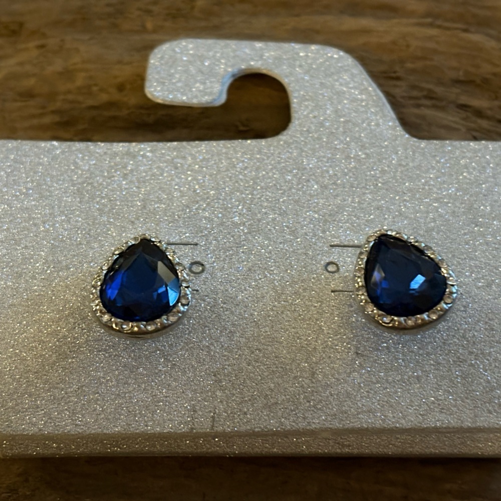 Blue Sapphire CZ lined Earrings